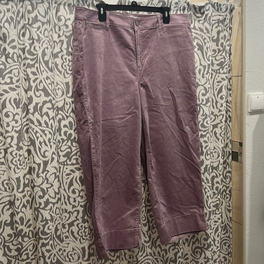Loft plus wide leg lavender velvet pants. NWT. Perfect for Valentine’s Day